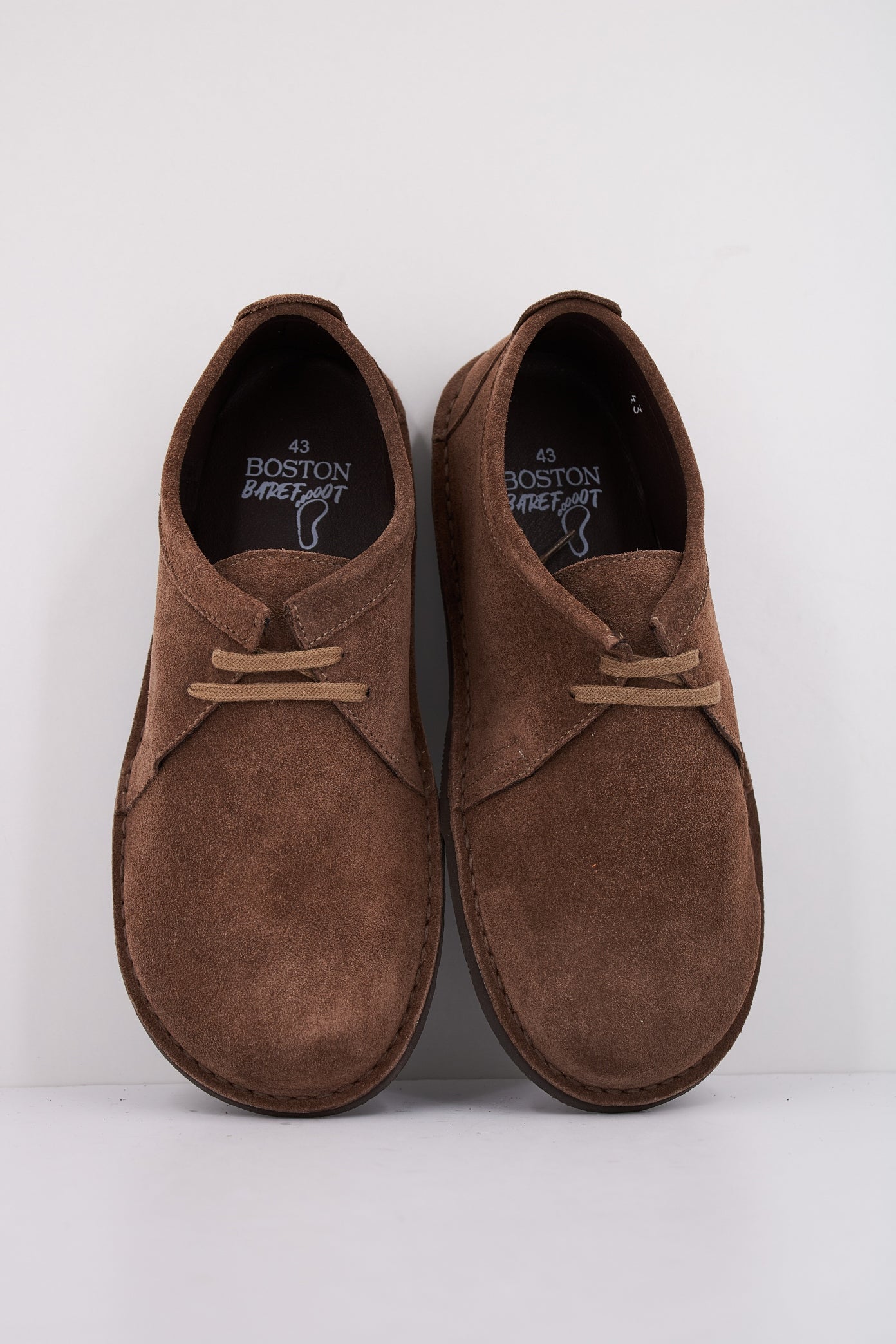 BOSTON BRUTUS  en color MARRON  (3)