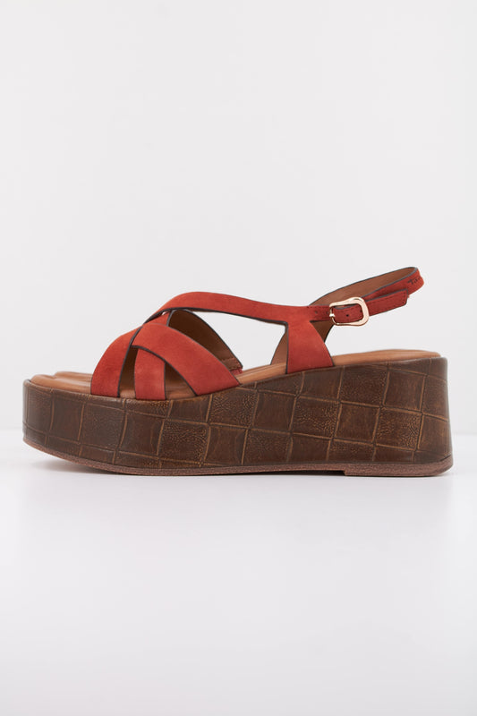 TAMARIS   en color TERCOT  (1)