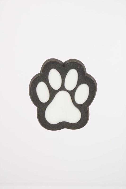 CROCS  PAW PRINT en color MULTI  (1)