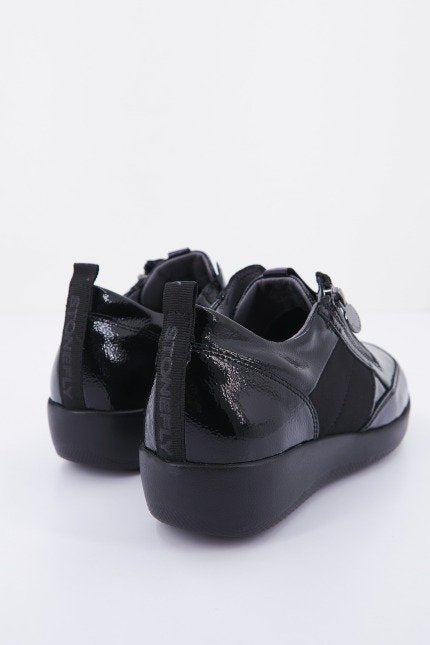 STONEFLY PASEO IV  en color   (3)