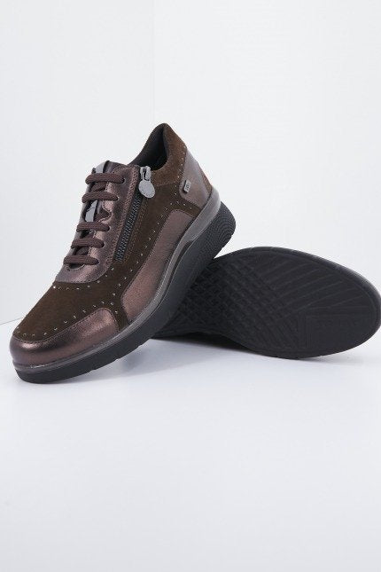 STONEFLY CLERYN HDRY  LAMIN en color   (4)