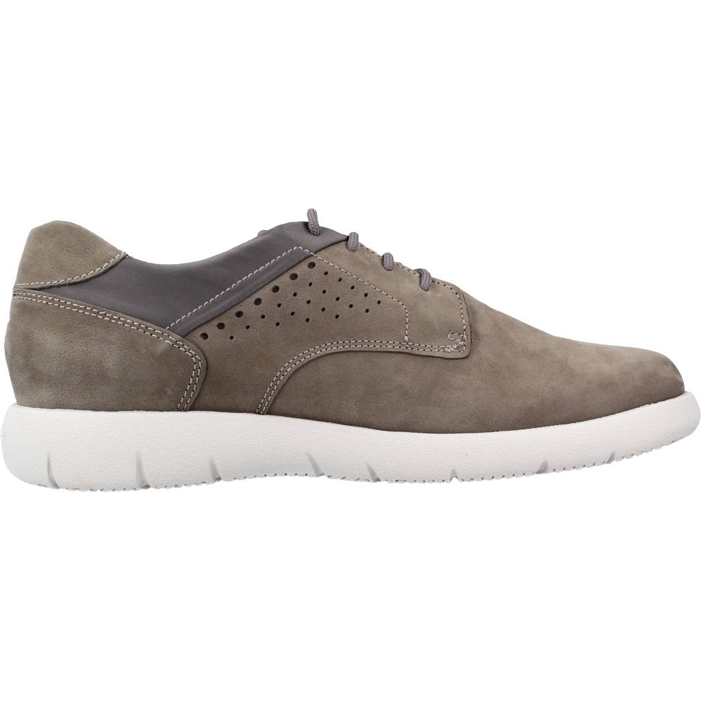 STONEFLY STREAM  NABUK/TEXT en color H  (4)