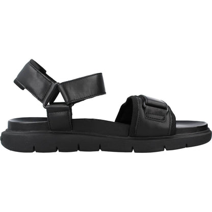 STONEFLY  HYDRA  TEXTILE/CAL en color   (4)