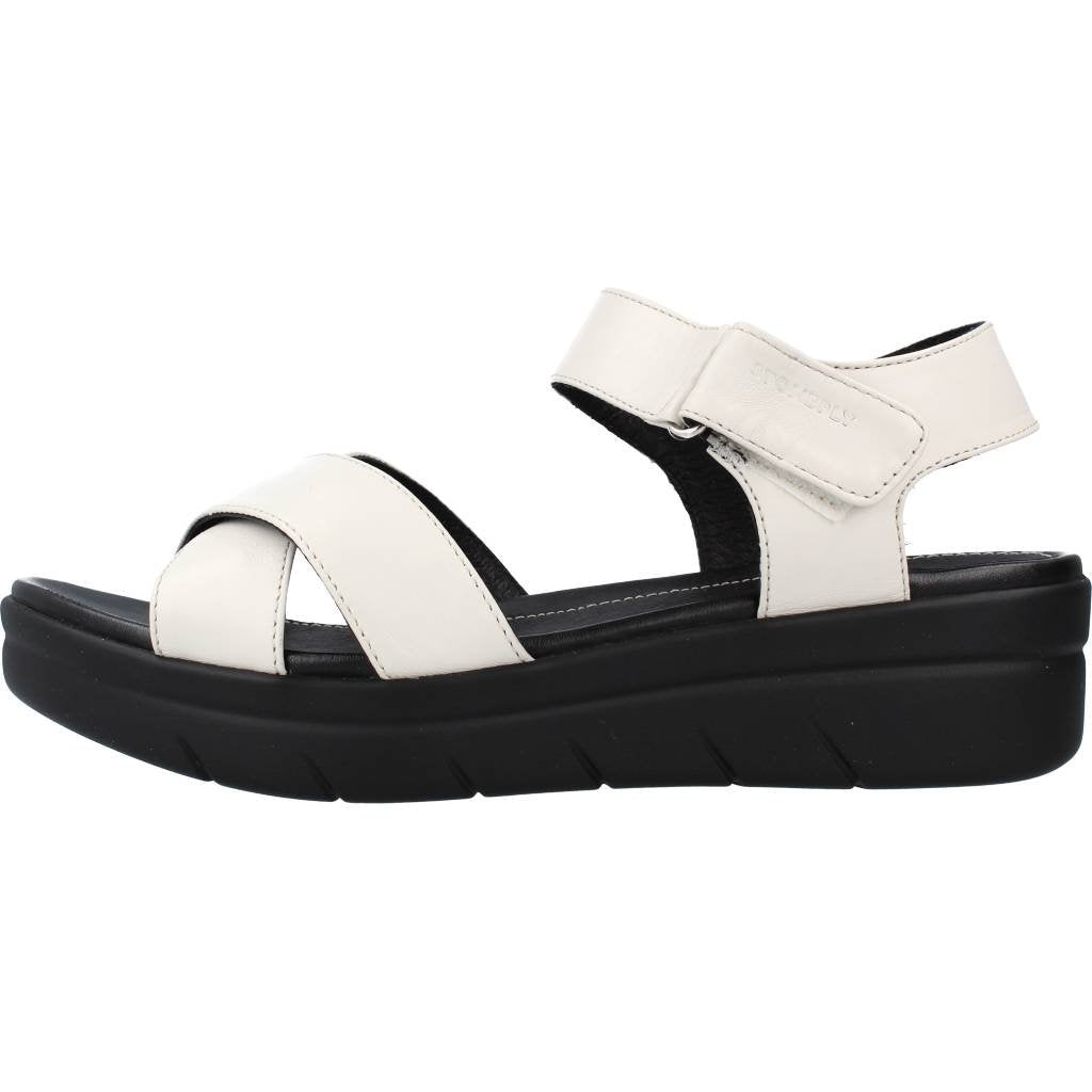 STONEFLY AQUA III  en color   (2)