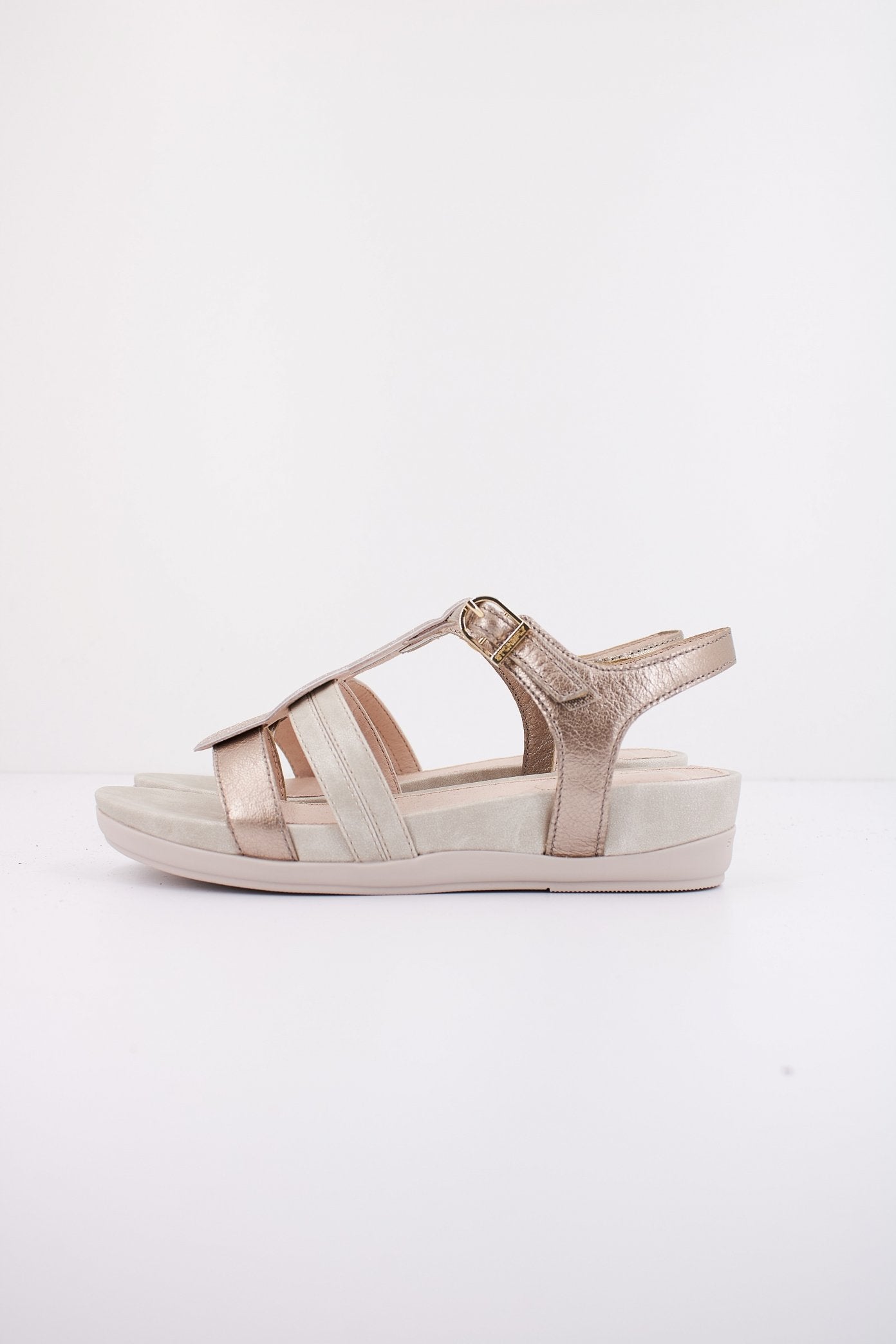 STONEFLY EVE  S. LAMINATED en color Z  (1)