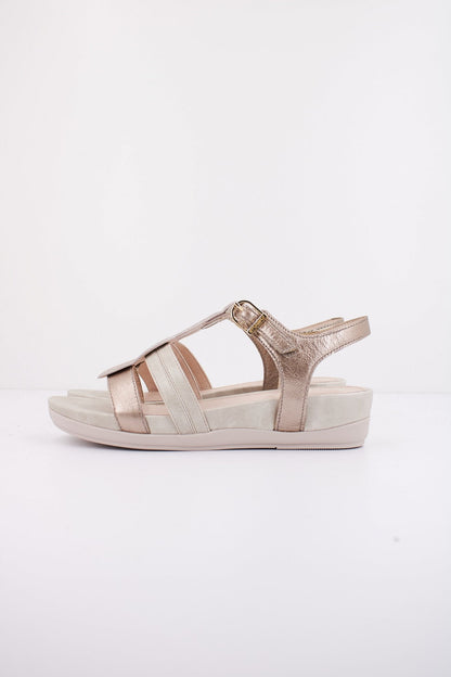 STONEFLY EVE  S. LAMINATED en color Z  (1)