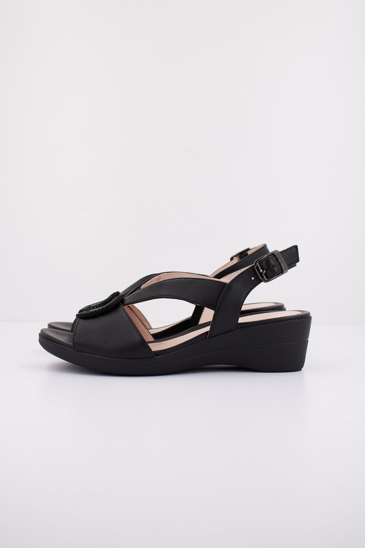 STONEFLY VANITY III  en color   (1)