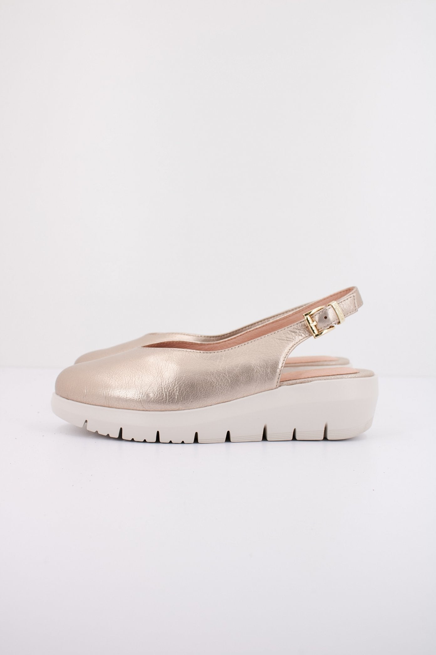 STONEFLY PLUME  LAMINATED en color I  (1)