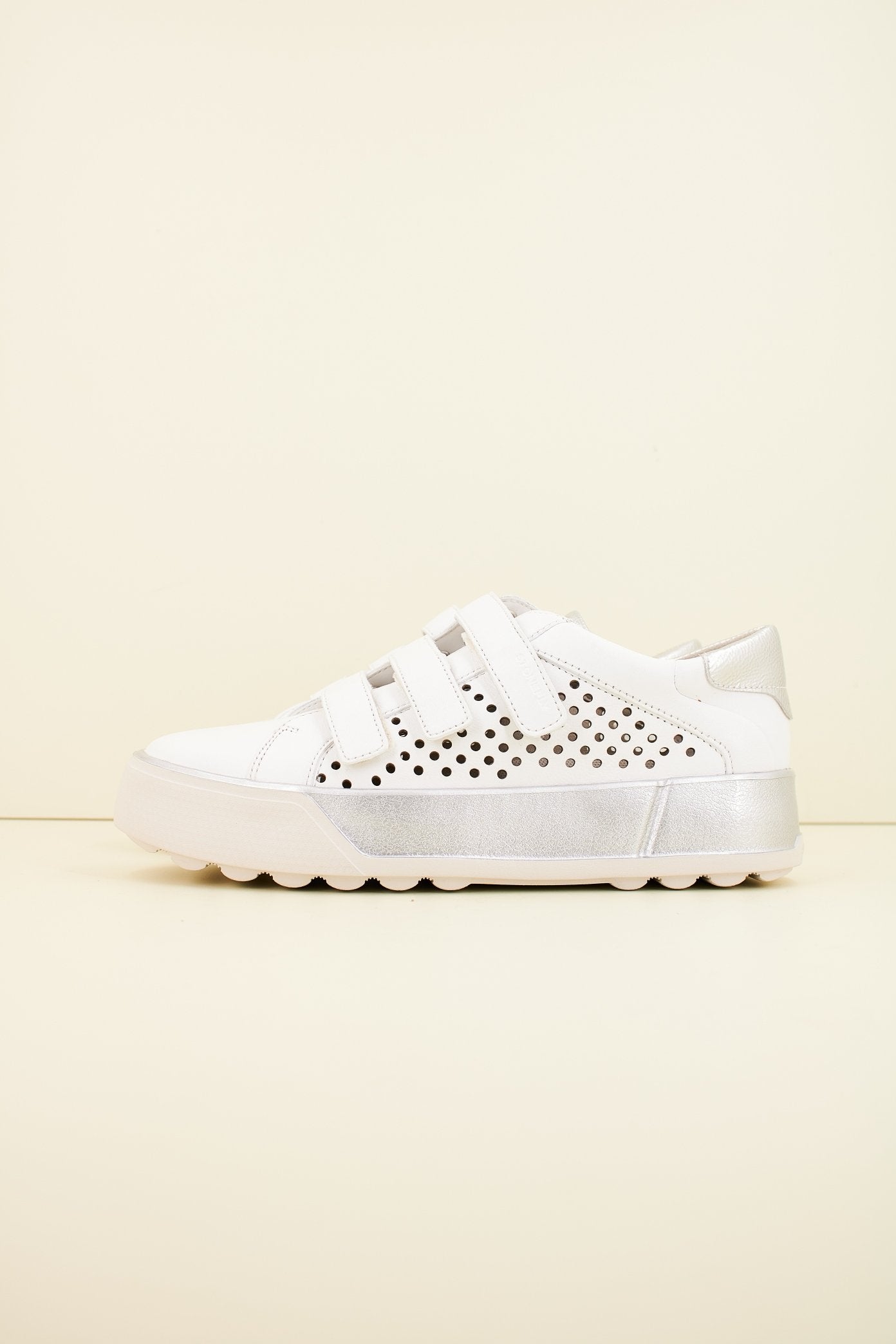 STONEFLY STELLA  NAPPA en color   (1)