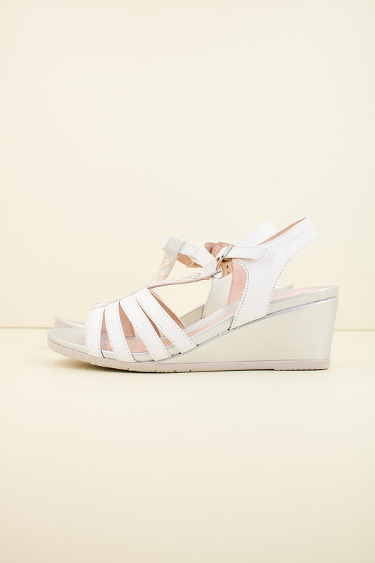 STONEFLY SWEET III  NAPPA en color   (1)