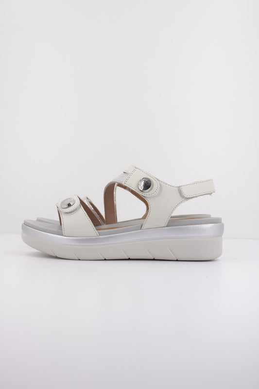STONEFLY AQUA III  NAPPA LT en color   (1)