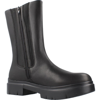 STONEFLY PHOEBE  ZIP LTH ST en color   (5)