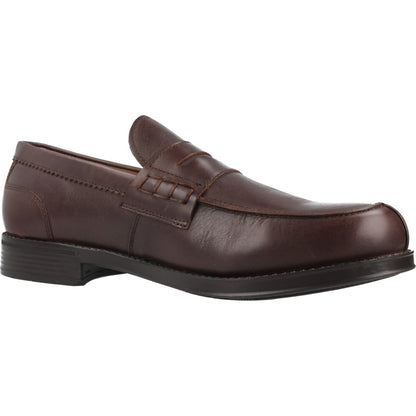 STONEFLY BLISS  CALF LTH en color   (5)
