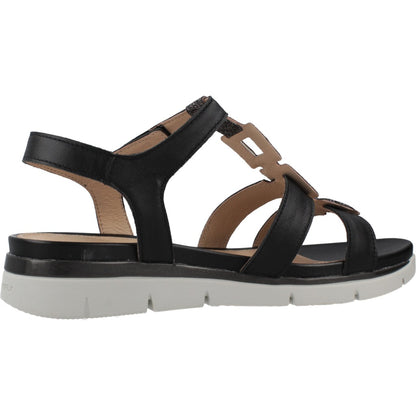 STONEFLY ELODY  NAP GLITTER en color   (4)