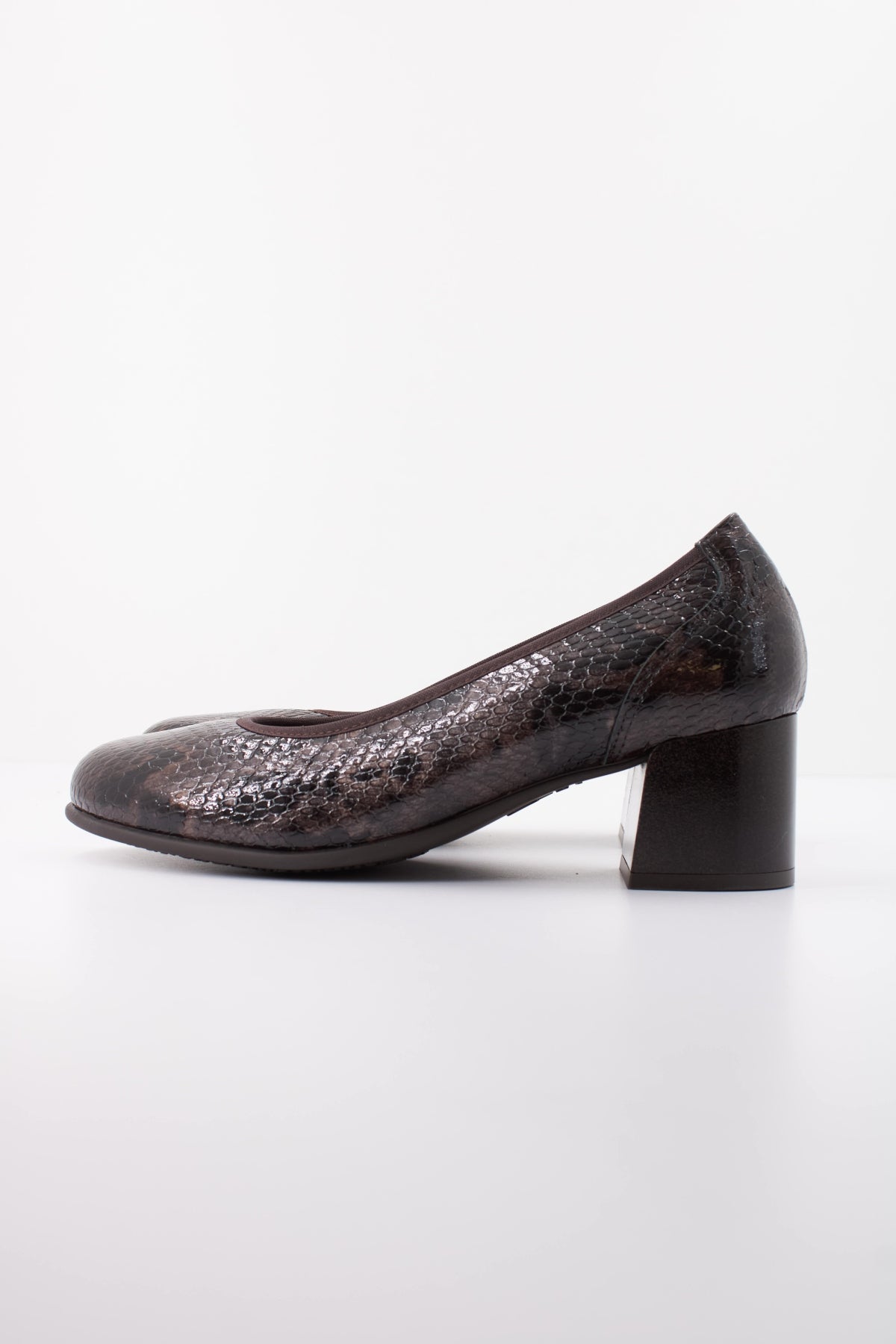 PITILLOS P SALON SERPIEN en color MARRON  (1)