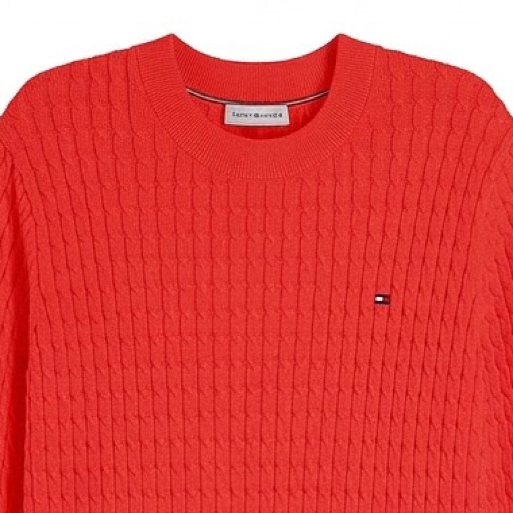 TOMMY HILFIGER WWWW COTTON CA en color XNF  (4)