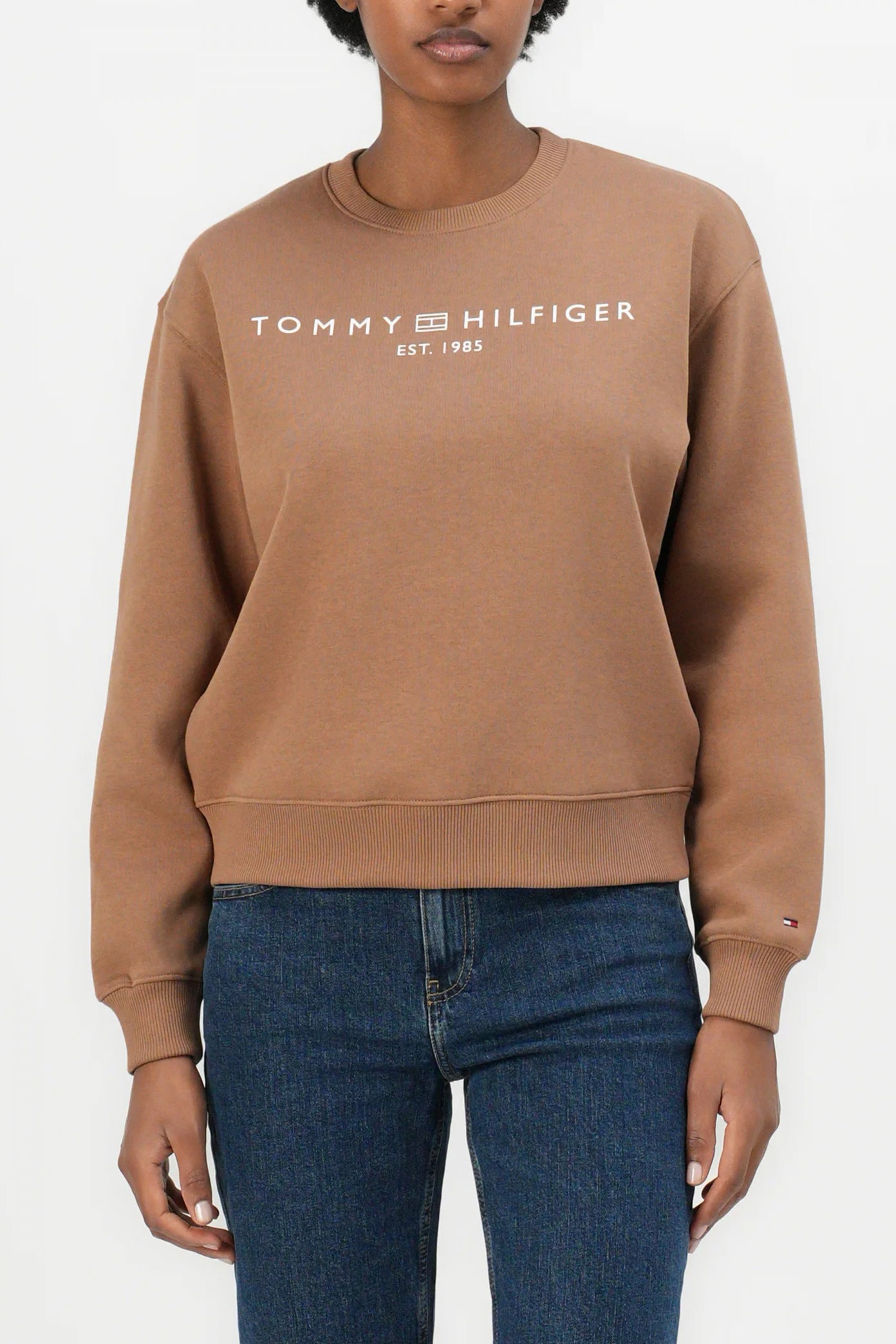 TOMMY HILFIGER  MDRN REG CORP LOGO  en color RBL  (1)