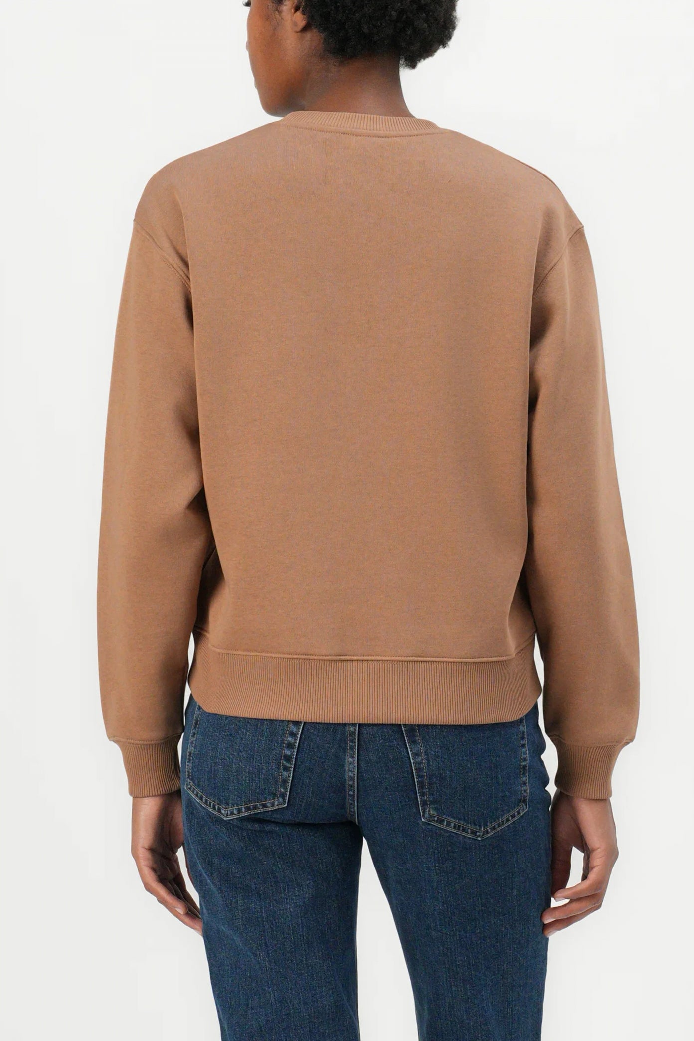 TOMMY HILFIGER  MDRN REG CORP LOGO  en color RBL  (3)