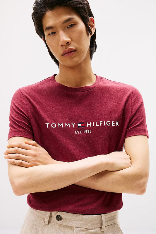 TOMMY HILFIGER TOMMY LOGO TEE en color XTW  (1)