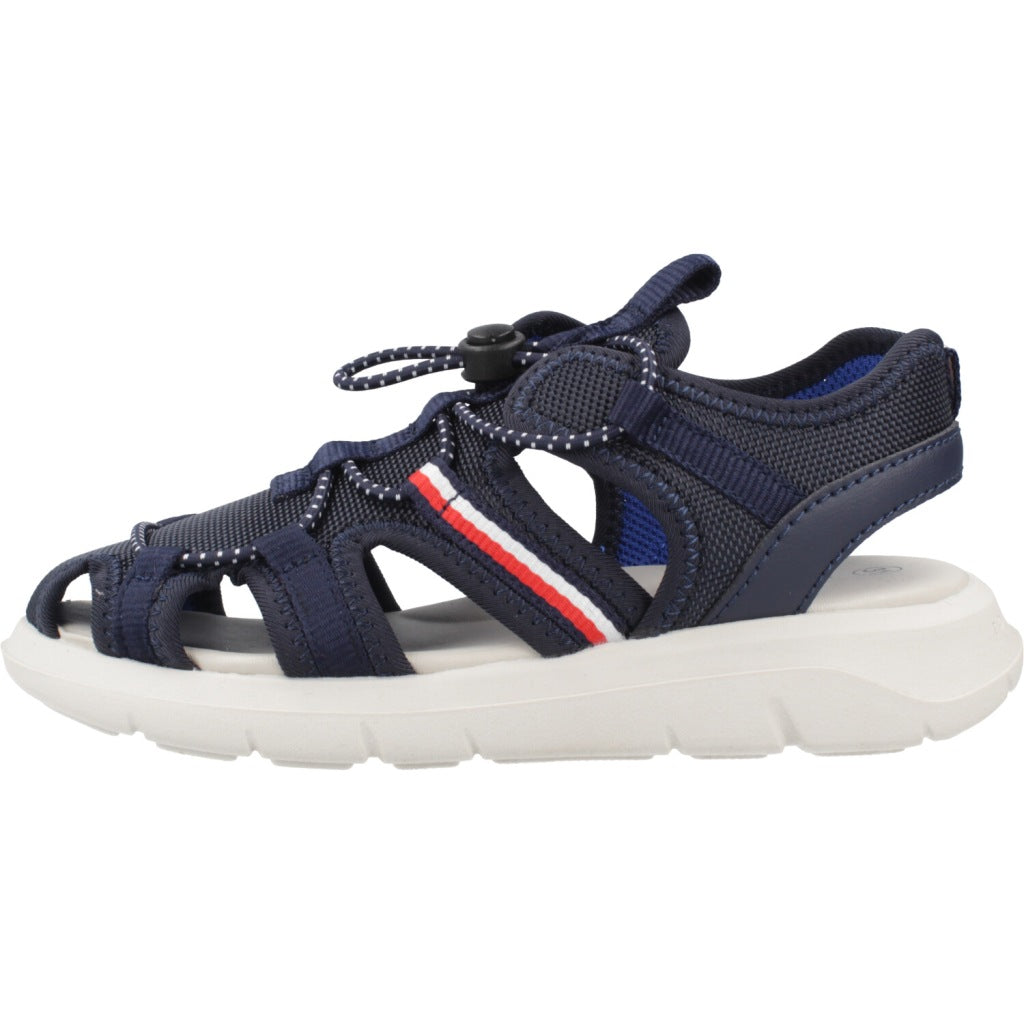 TOMMY HILFIGER TB  en color BLUE  (2)