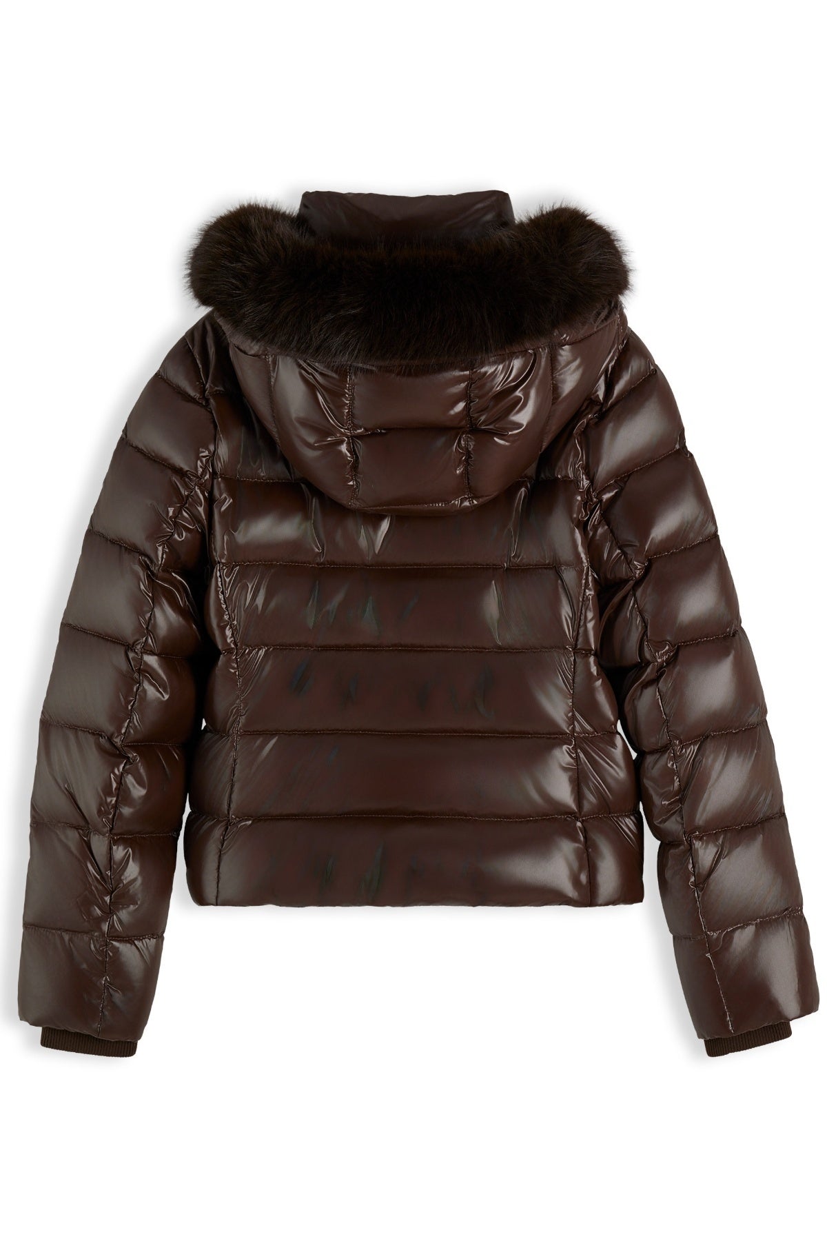 TOMMY HILFIGER WWWW GLOSS DOW en color HJT  (2)