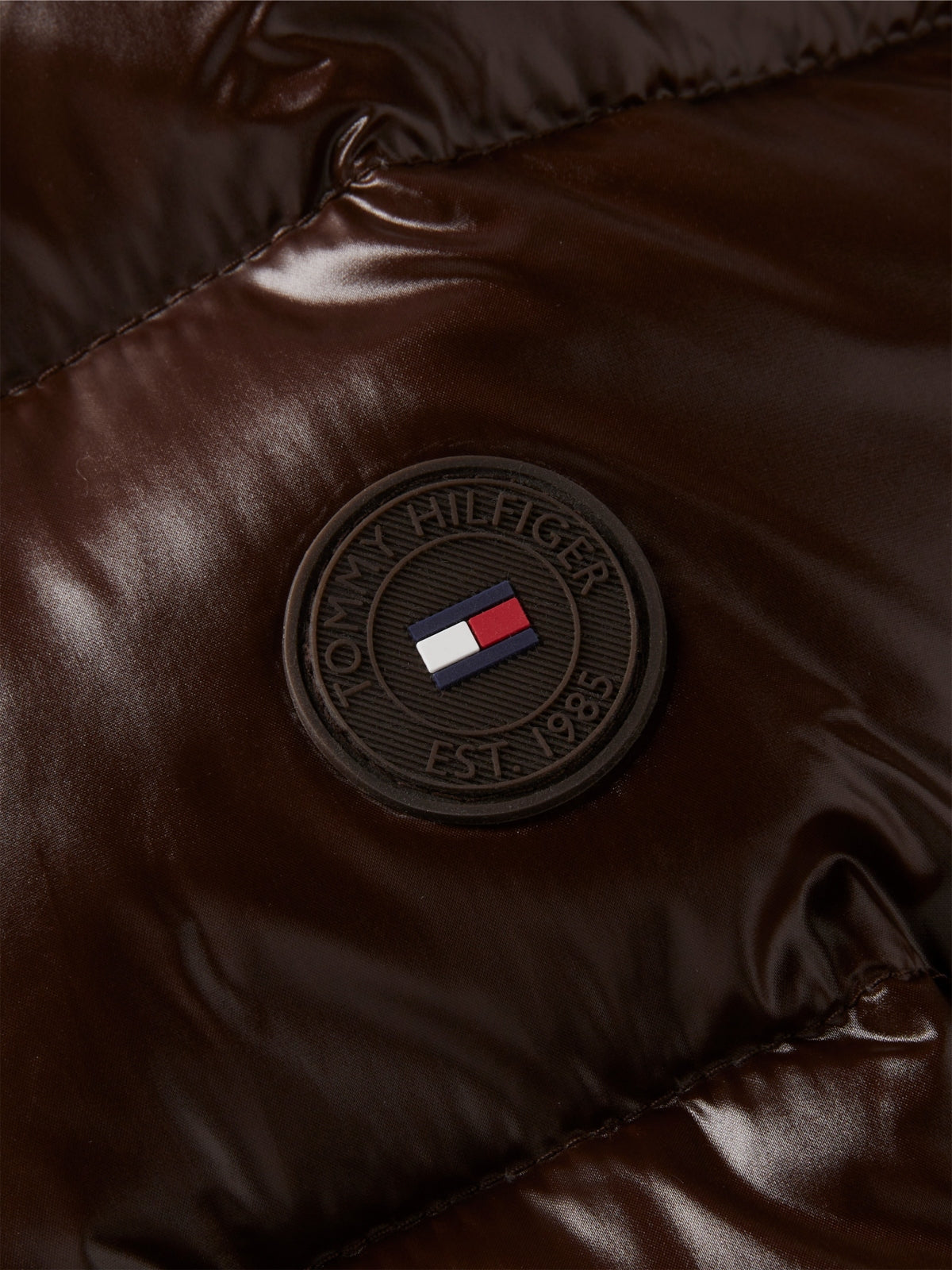 TOMMY HILFIGER WWWW GLOSS DOW en color HJT  (5)