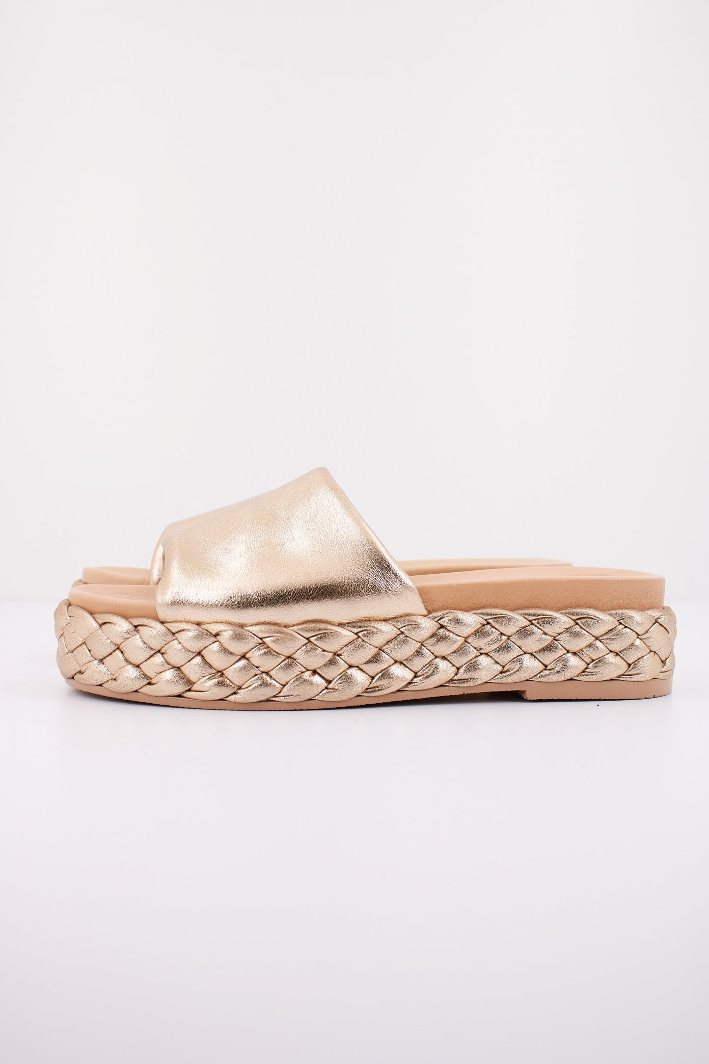 UNISA EBERT LMT  en color PLATINO  (1)