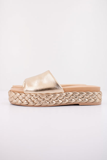 UNISA EBERT LMT  en color PLATINO  (1)