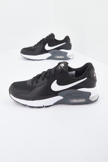 NIKE MAX EXCEE en color   (1)
