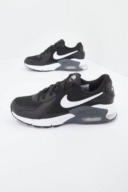NIKE MAX EXCEE en color   (1)
