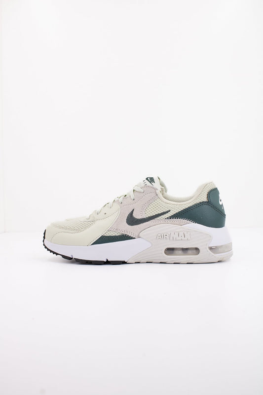 NIKE MAX EXCEEE en color   (1)