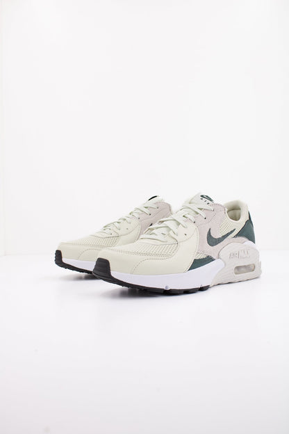 NIKE MAX EXCEEE en color   (2)