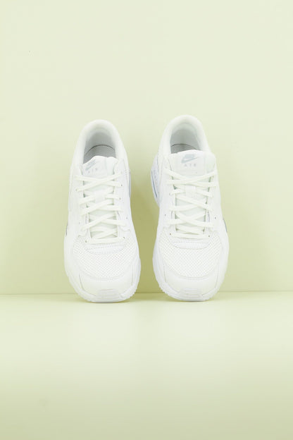 NIKE AIR MAX EXCEE en color   (2)