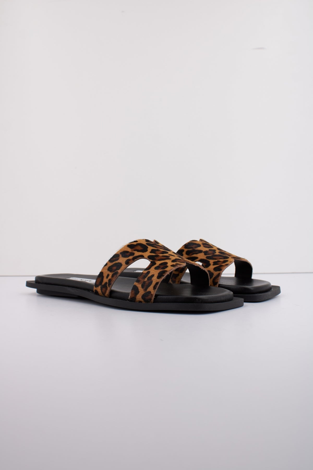 STEVE MADDEN SOFIA-L en color LPRD  (2)