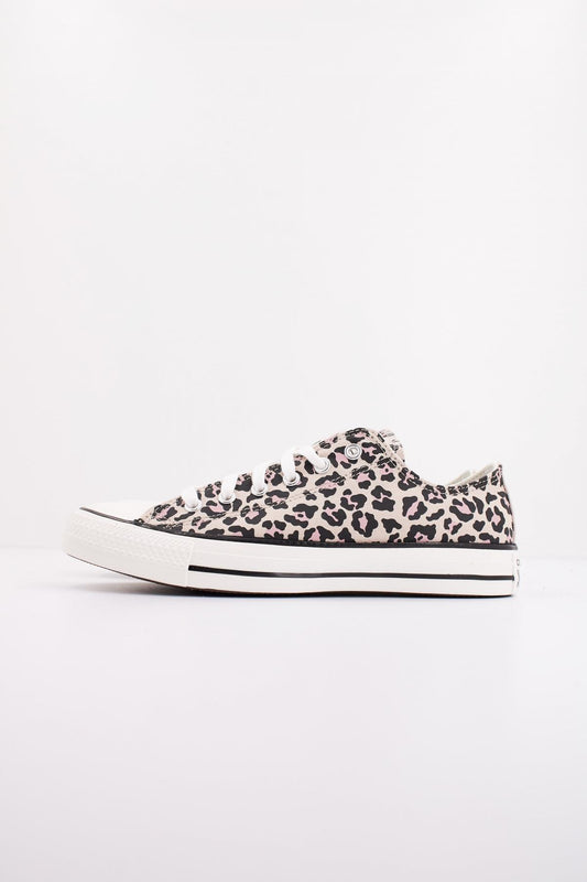 CONVERSE CHUCK TAYLOR ALL STA en color BRYEGRT  (1)