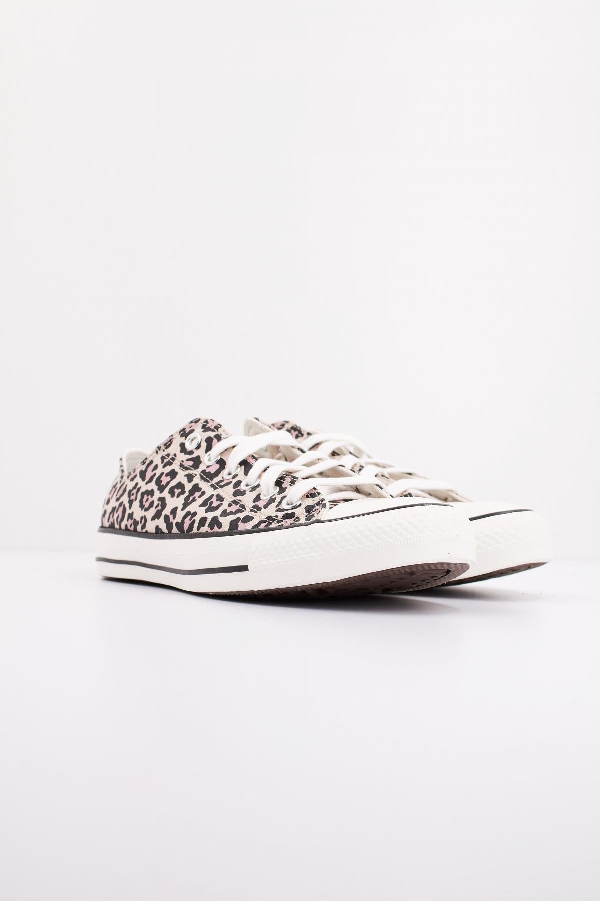 CONVERSE CHUCK TAYLOR ALL STA en color BRYEGRT  (2)