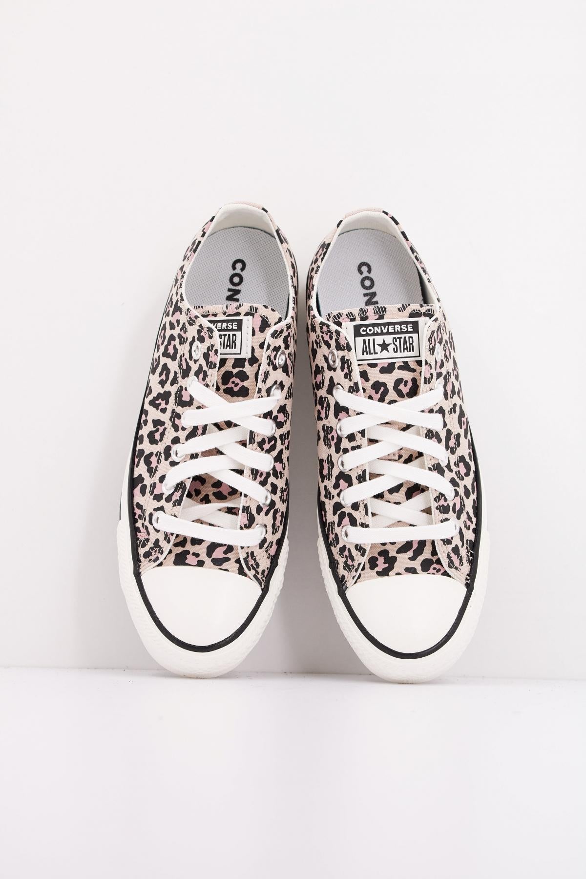 CONVERSE CHUCK TAYLOR ALL STA en color BRYEGRT  (3)
