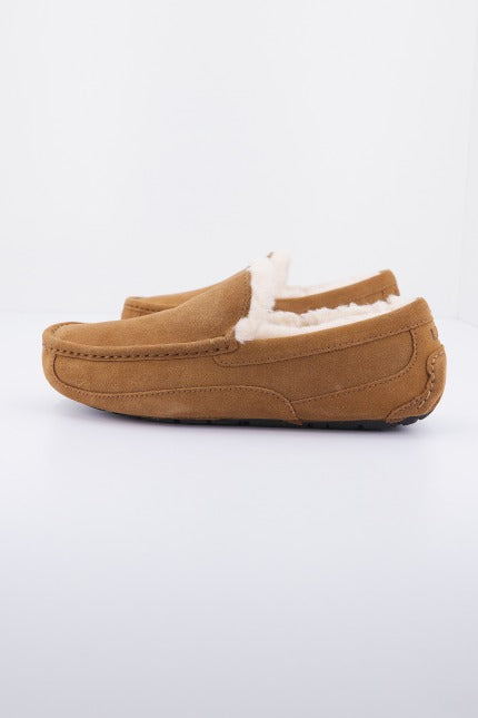 UGG M ASCOT en color CHESTNUT  (2)