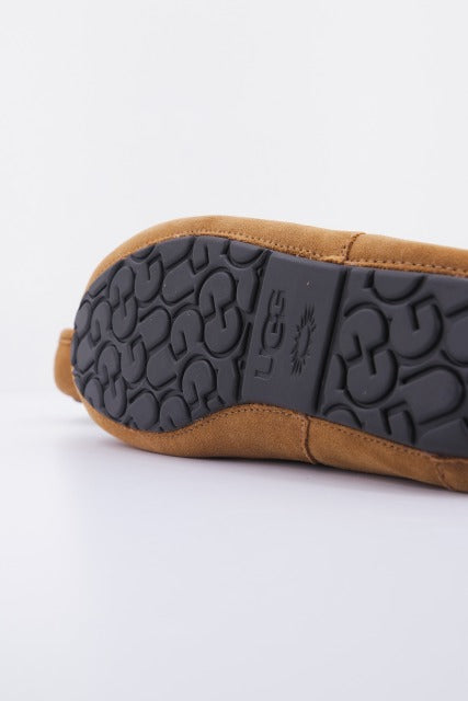 UGG M ASCOT en color CHESTNUT  (3)