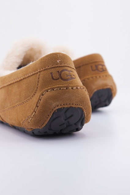 UGG M ASCOT en color CHESTNUT  (4)
