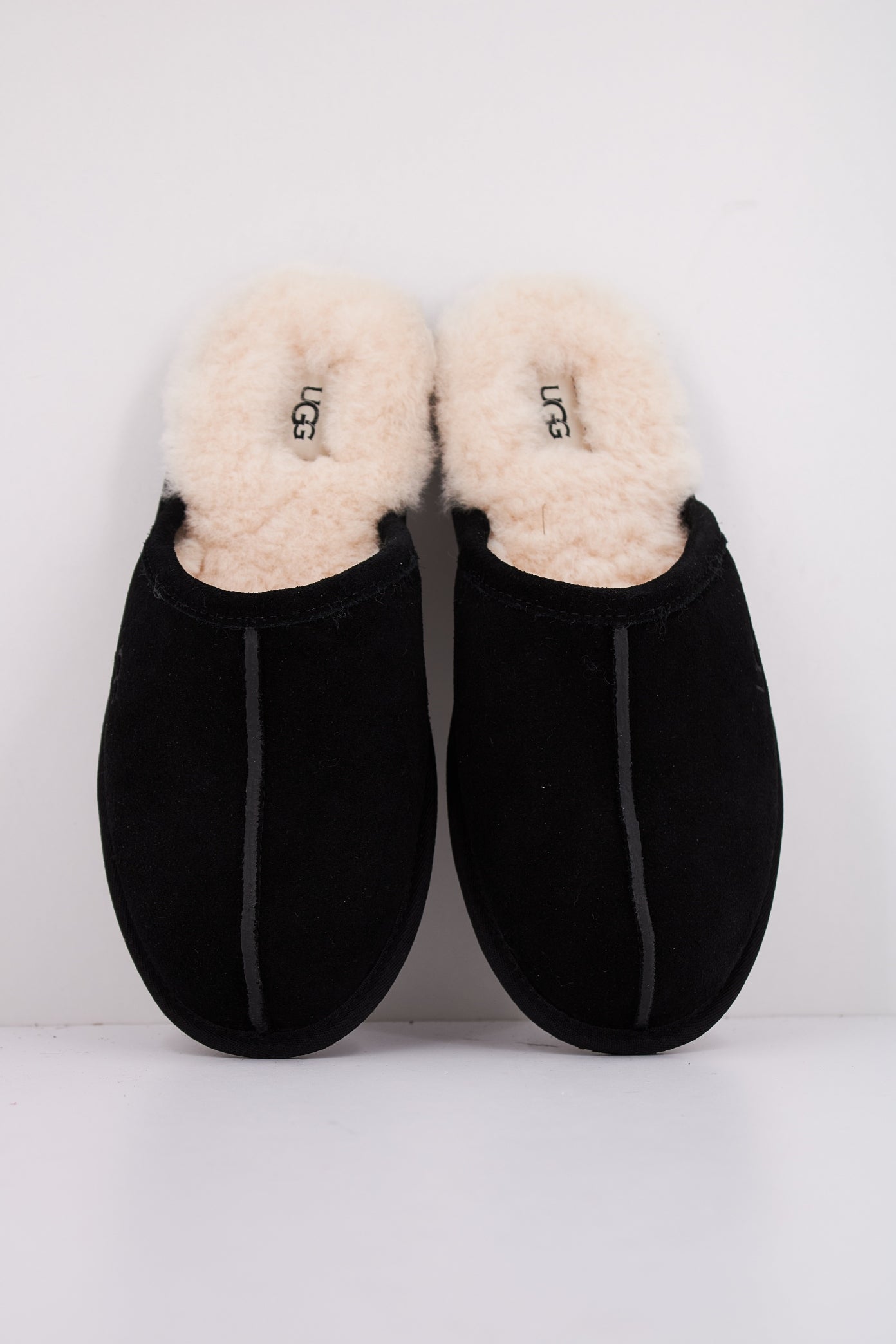 UGG SCUFF en color BLACK  (3)