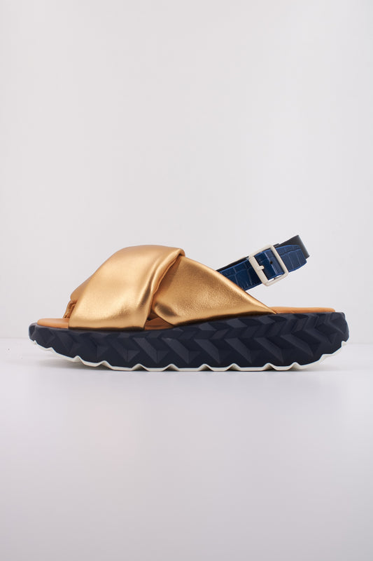 CCCCEES JABARA COIL en color GOLD  (1)