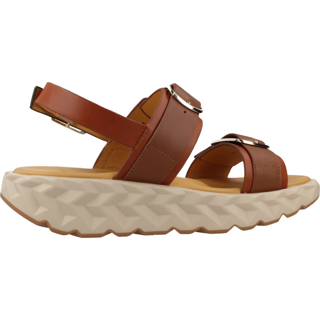CCCCEES  JABARA SANDY  en color BROWN  (4)
