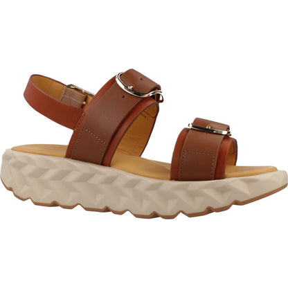 CCCCEES  JABARA SANDY  en color BROWN  (5)
